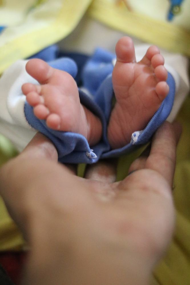 Фотография автора Adel elqamhawi Mohamed