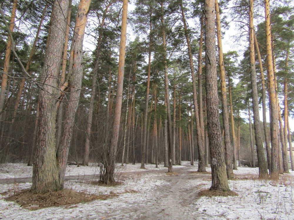 Photograph by Николай Худяков