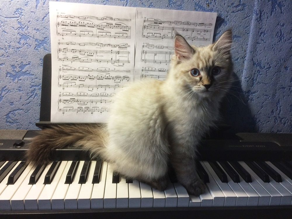 Photograph by Римма Большакова