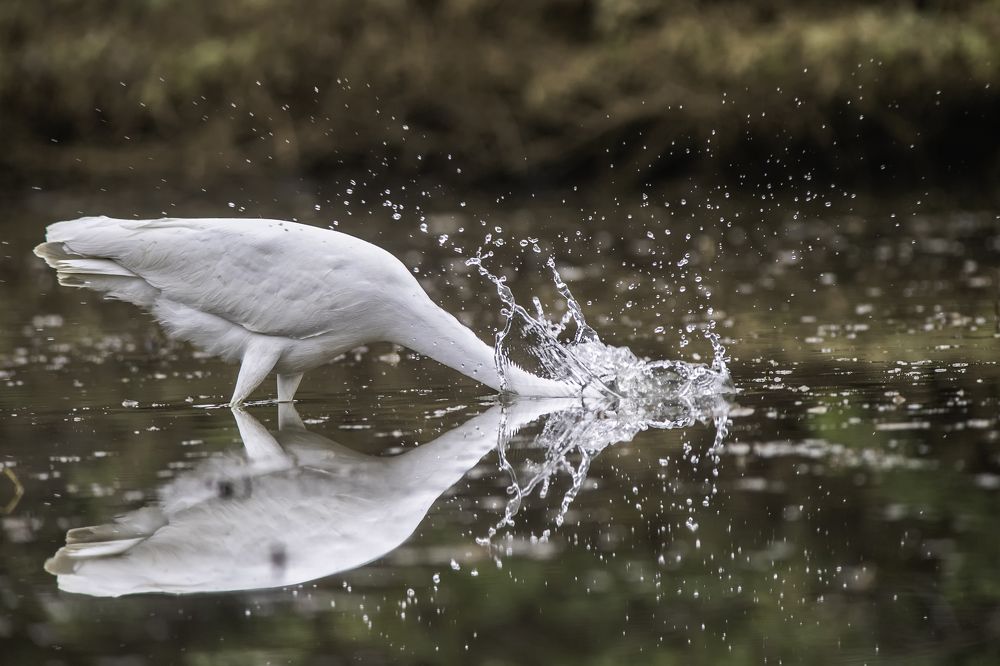 Фотография автора Mehdi EL Baqali