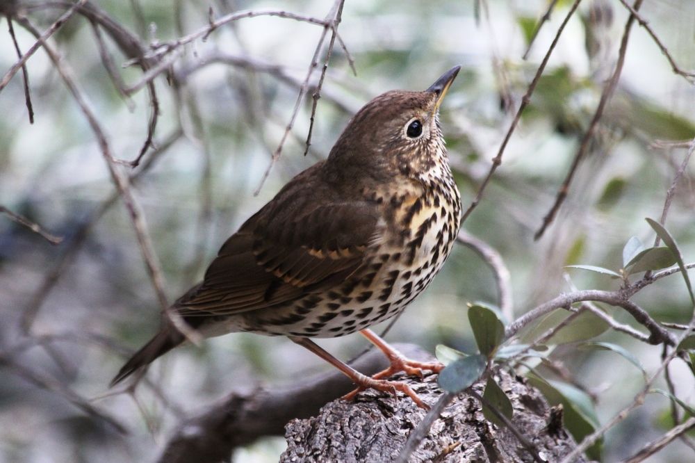 Photograph by Nadzeya