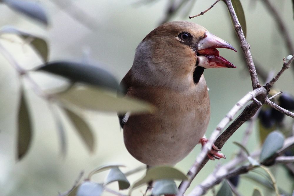 Photograph by Nadzeya