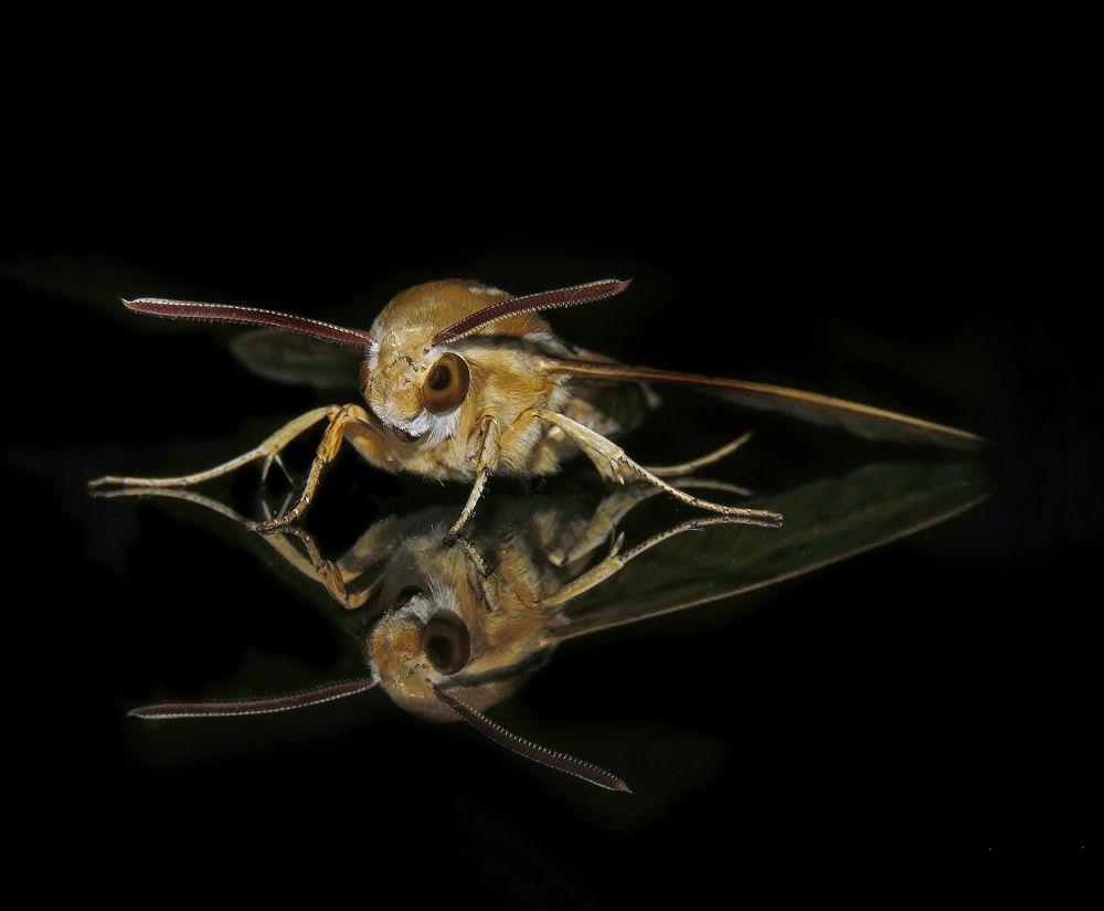 Photograph by Amin Ghaffarian