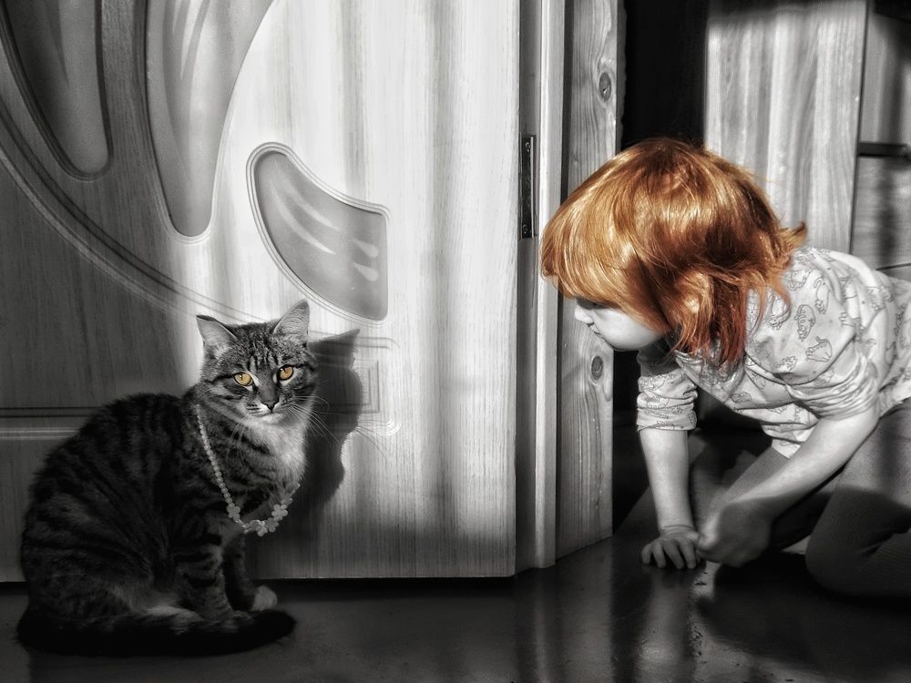 Photograph by Анастасия Дубинина