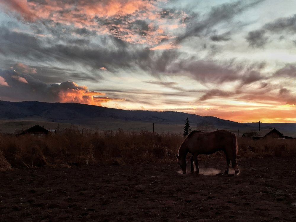 Photograph by Анастасия Дубинина