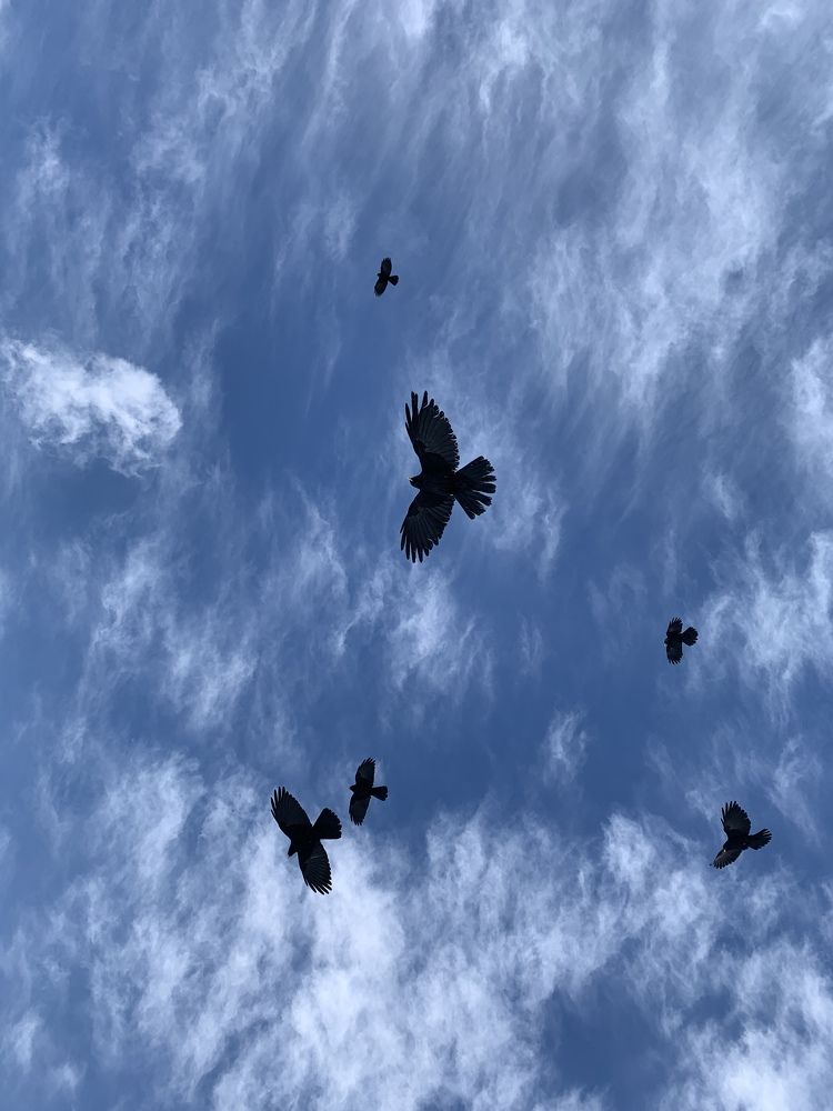 Фотография автора Юлия Недосекина