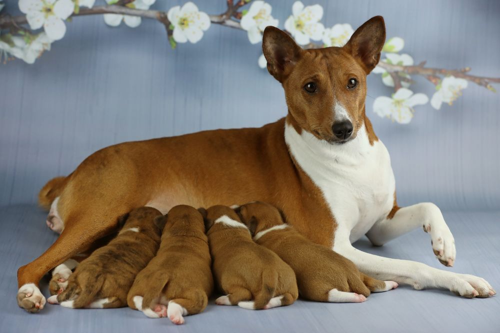 Photograph by Ольга Галецкая