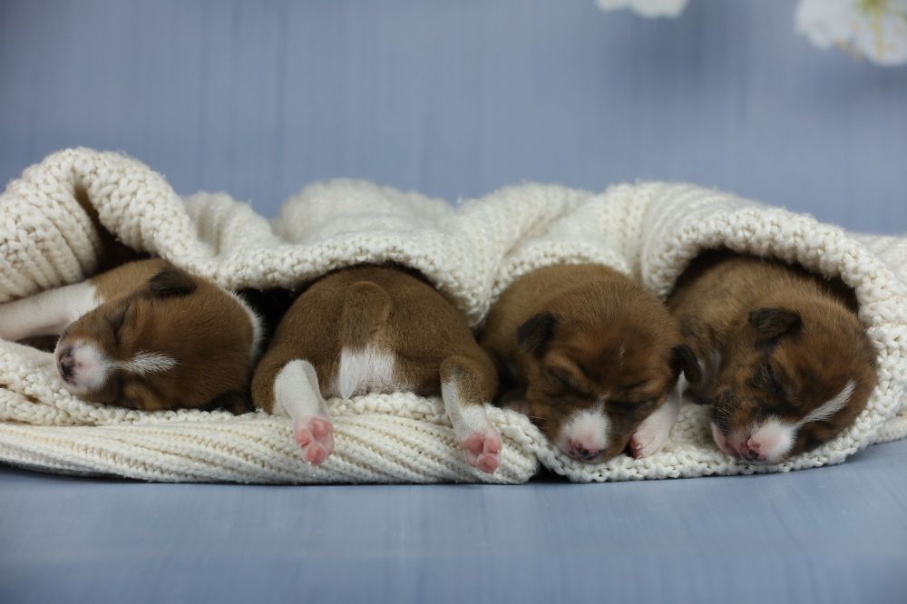 Photograph by Ольга Галецкая