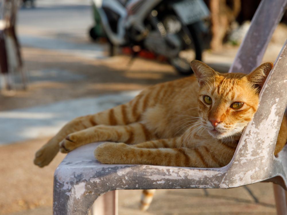 Photograph by Людмила Аксенова