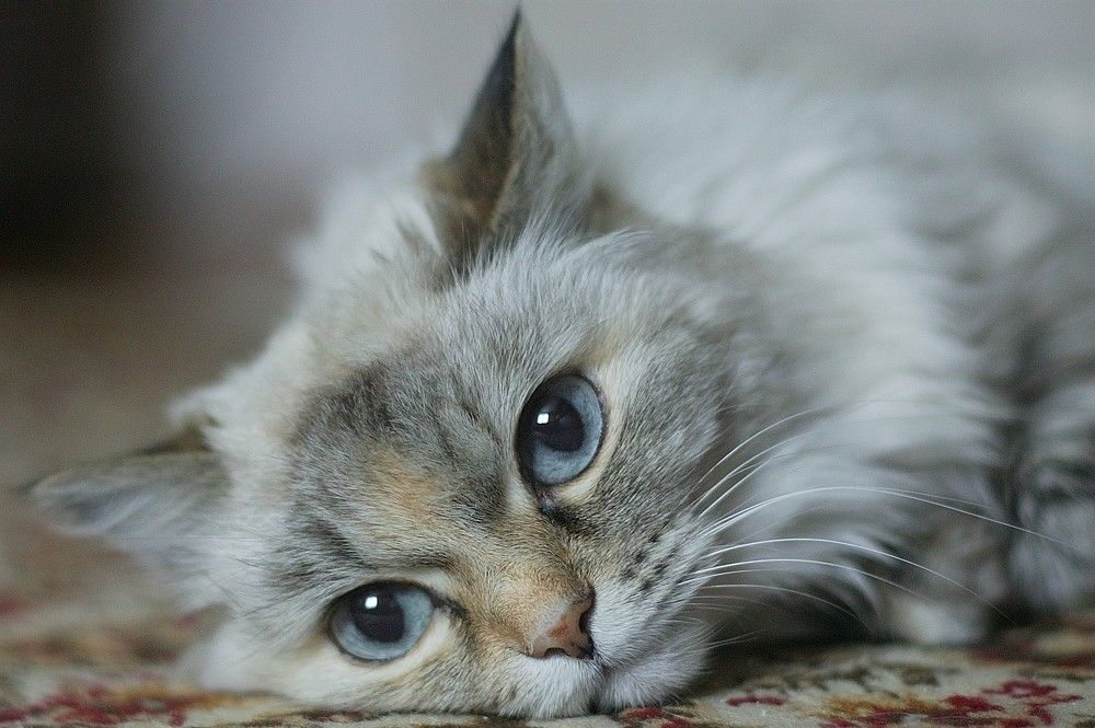 Photograph by Oleg Che