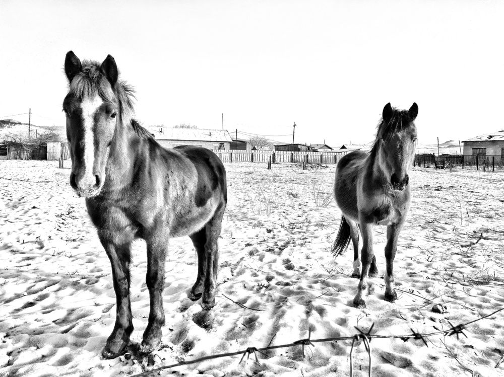 Photograph by Анастасия Дубинина