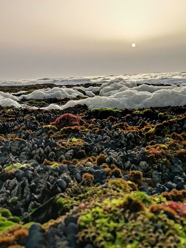 Photograph by Fatima-Zahra Moufaddal