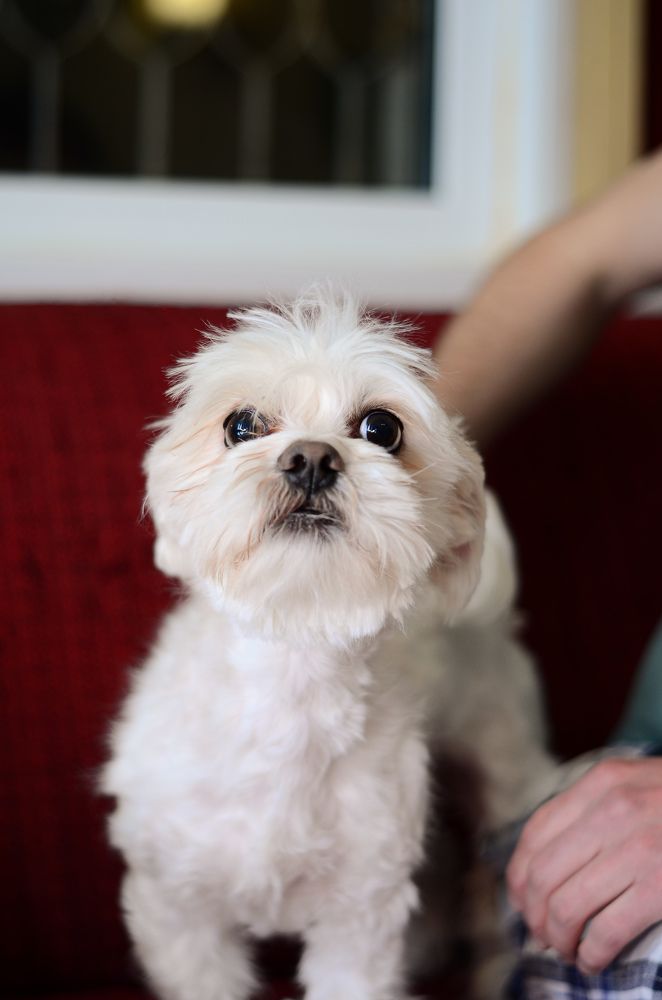 Photograph by Аряева Анна