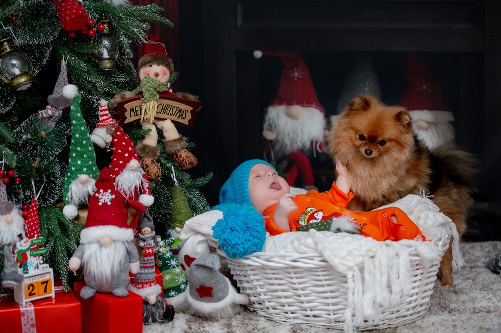 Photograph by EKATERINA ROMANYUK