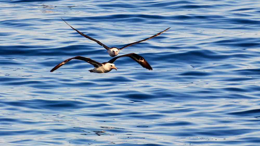 Photograph by Валерий Гончаров