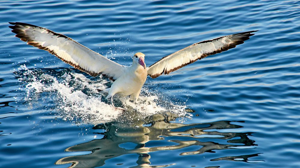 Photograph by Валерий Гончаров