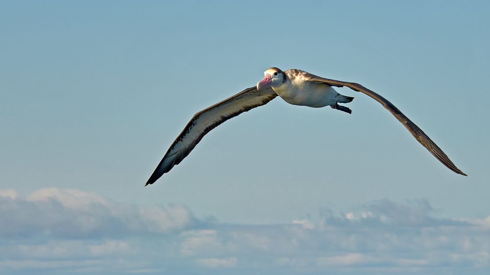 Photograph by Валерий Гончаров
