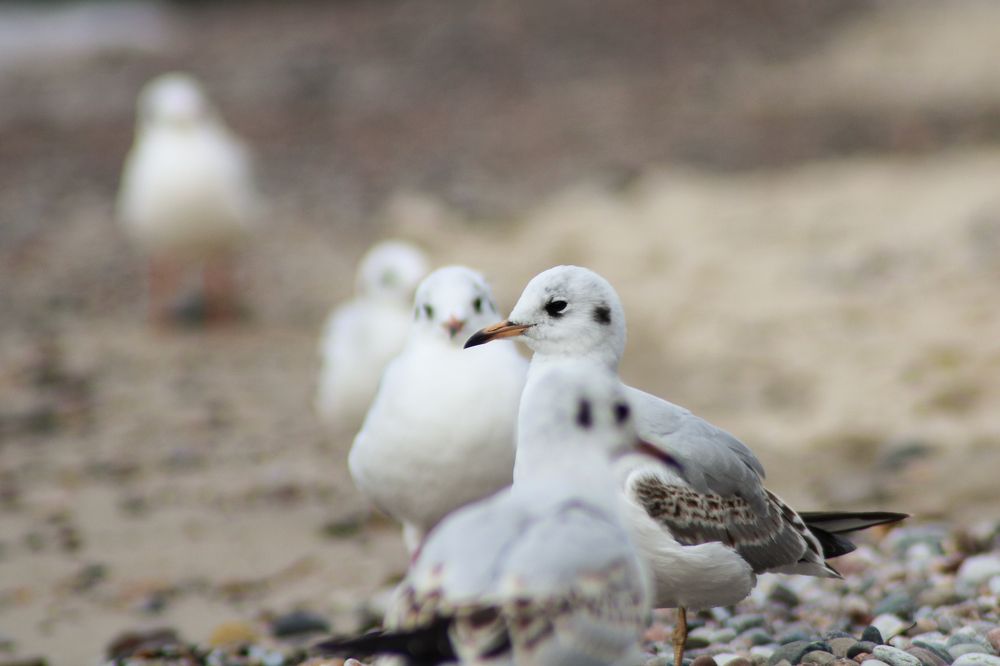 Photograph by Елена Коровкина