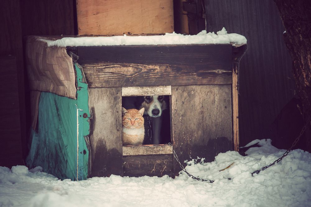 Photograph by Алексей Трифонов