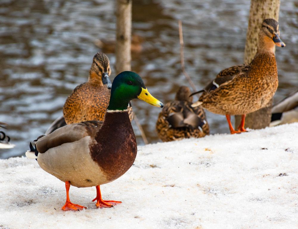 Photograph by Галина Эмберг