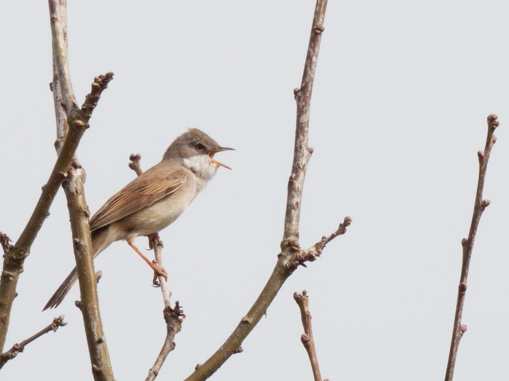 Photograph by Marie-Helene KUHN