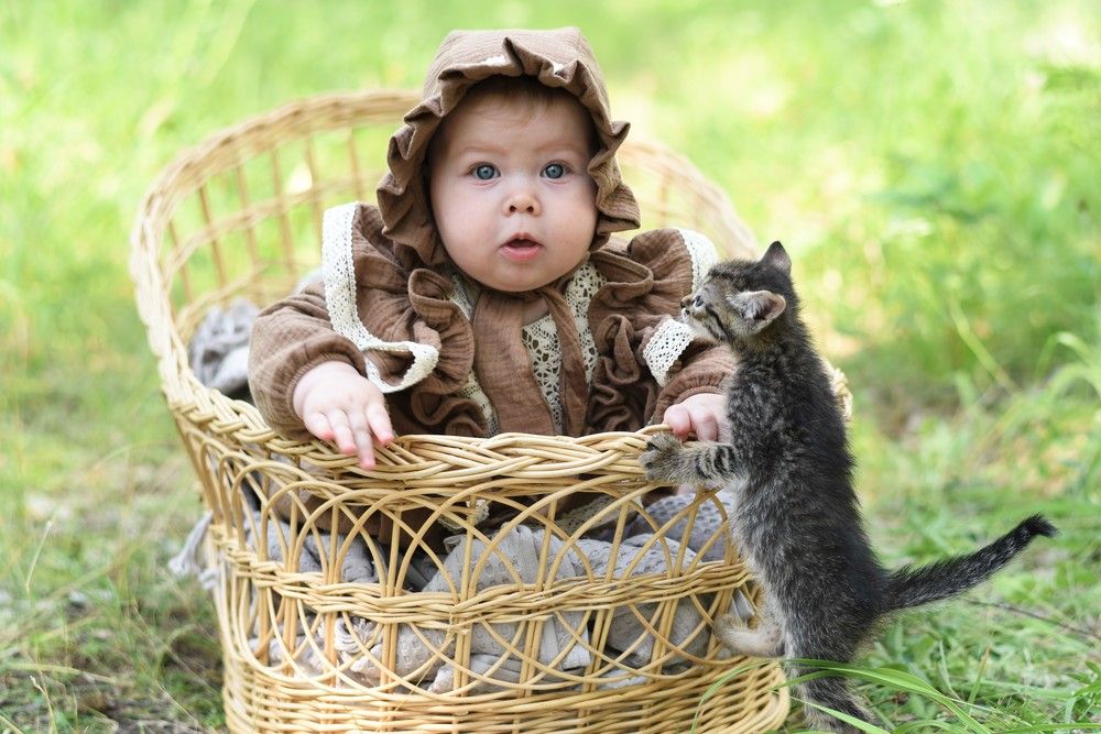 Photograph by Юлия Лебедева