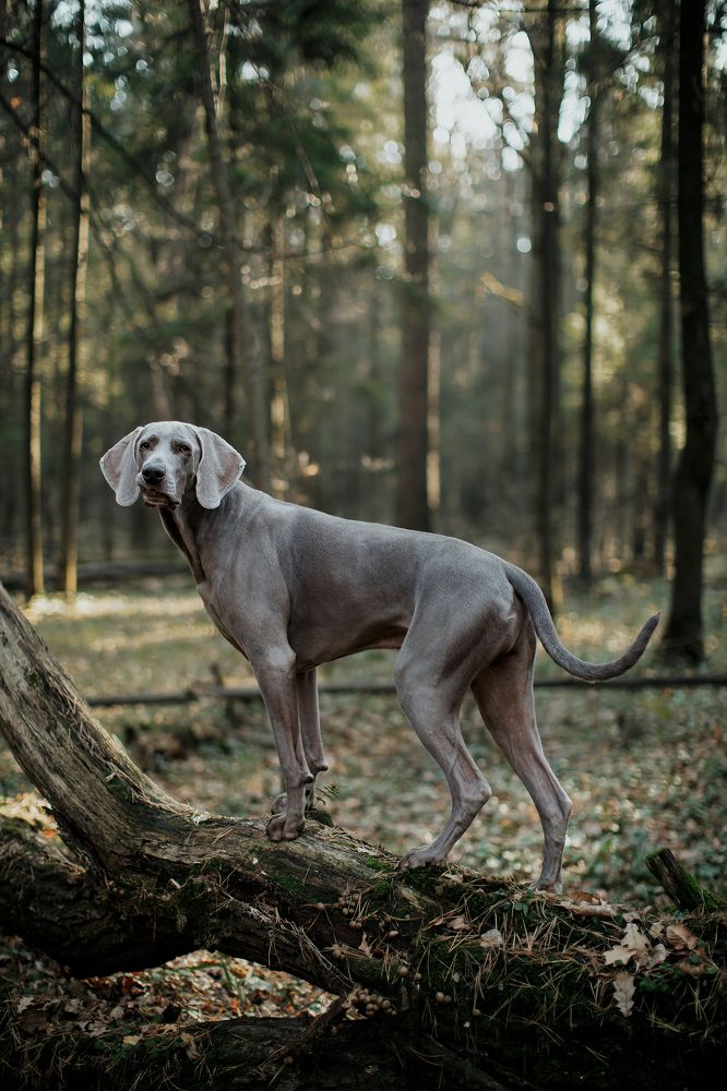 Photograph by Александра Липкина