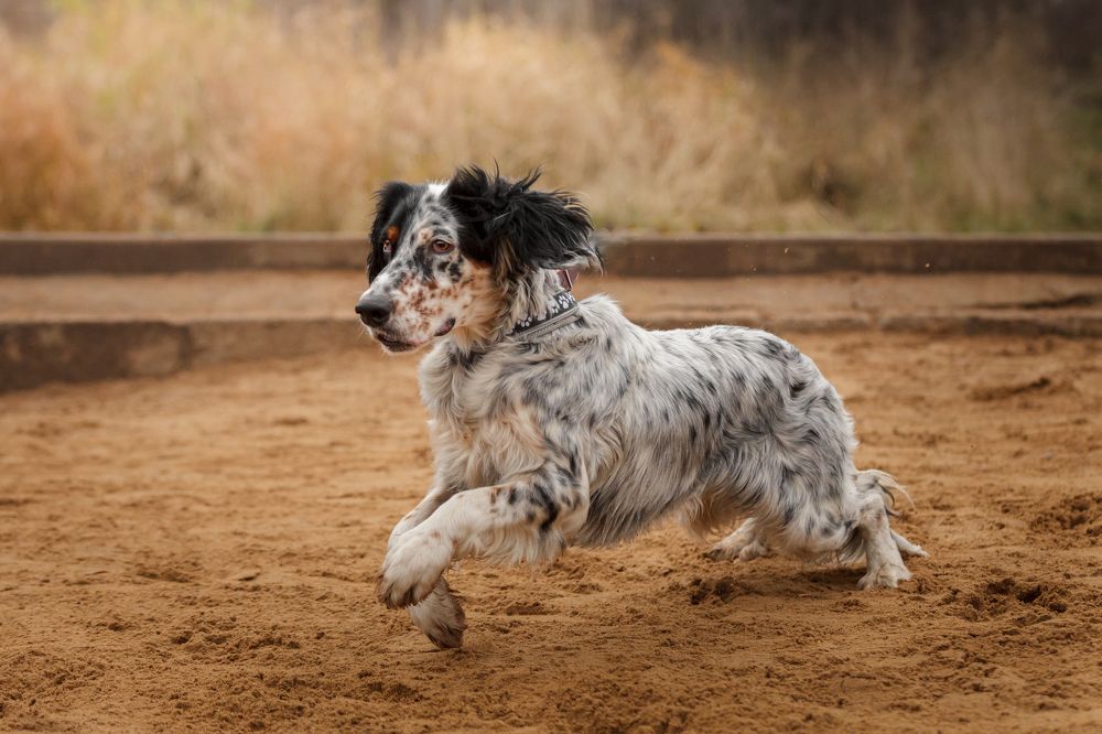 Photograph by Татьяна Степанова