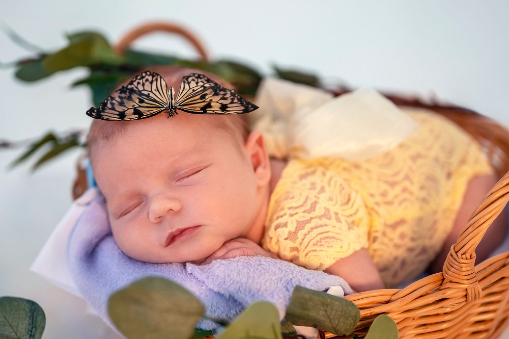 Photograph by Елена Савченкова