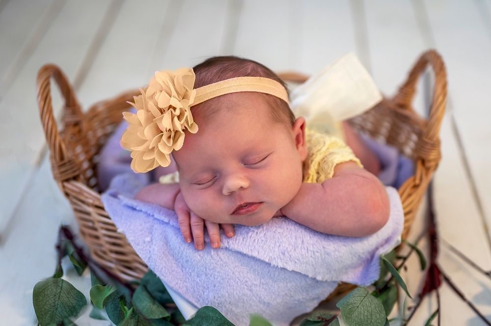 Photograph by Елена Савченкова