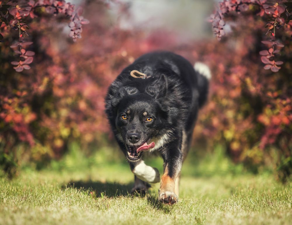 Фотография автора Yulia  Maximova