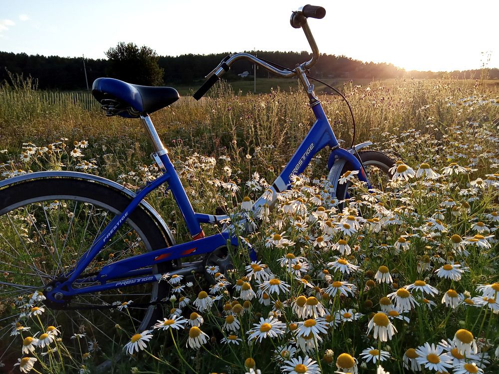 Photograph by Анастасия Старикова