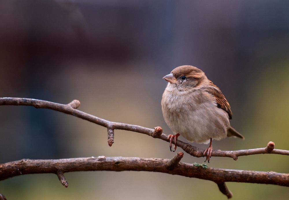 Photograph by Юлия Борт