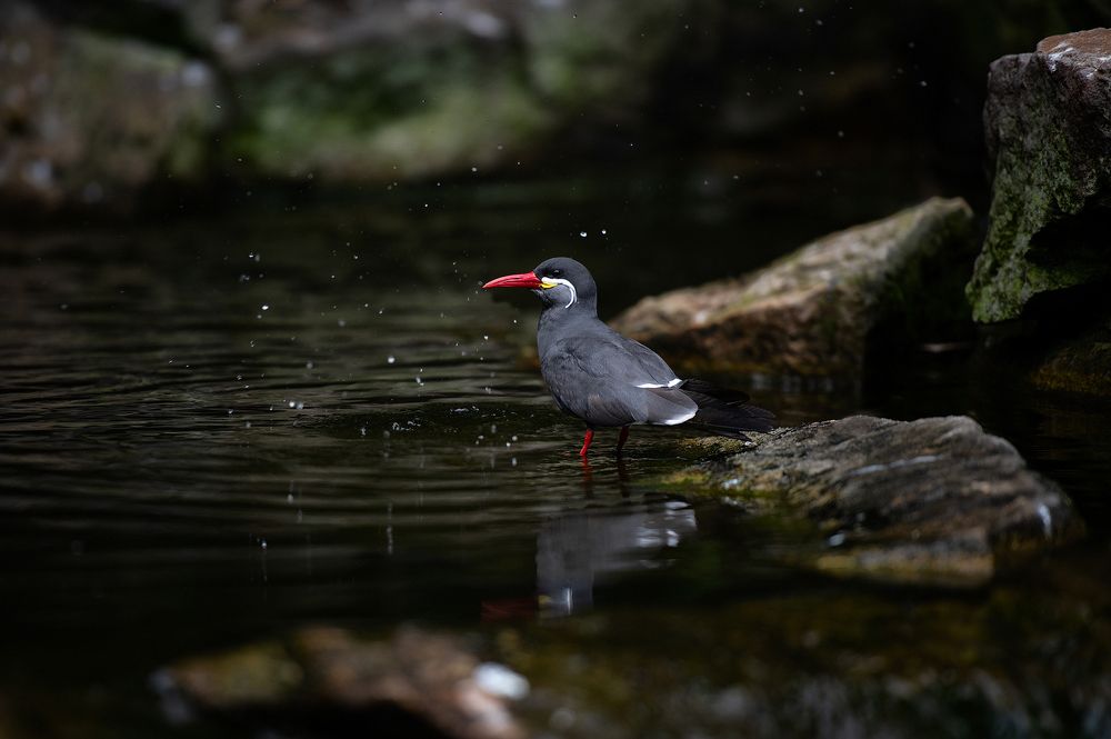 Photograph by Юлия Борт