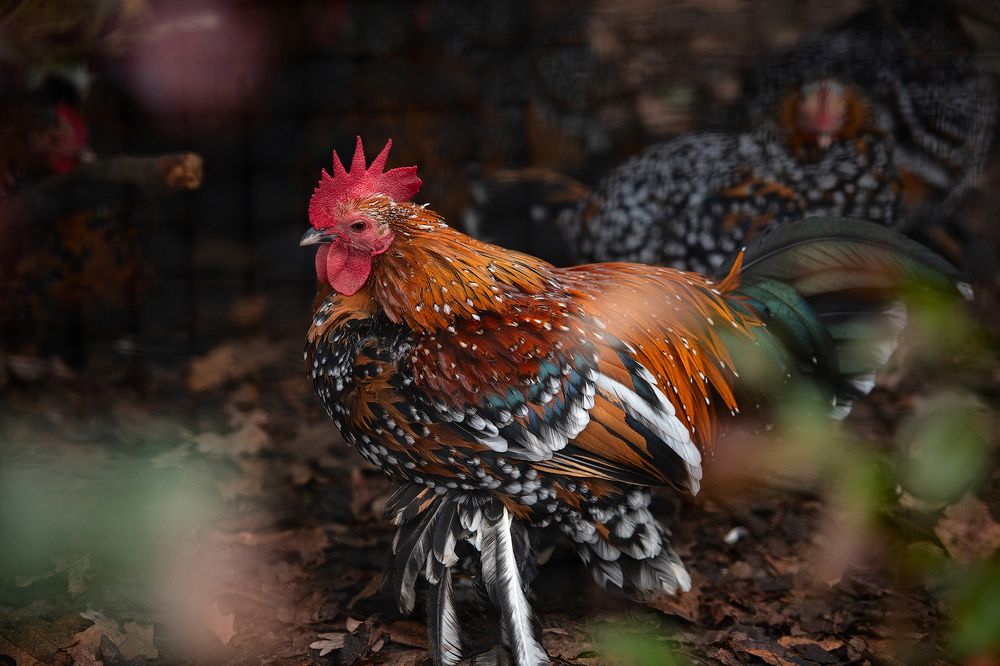 Photograph by Юлия Борт