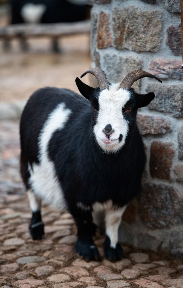 Photograph by Юлия Борт