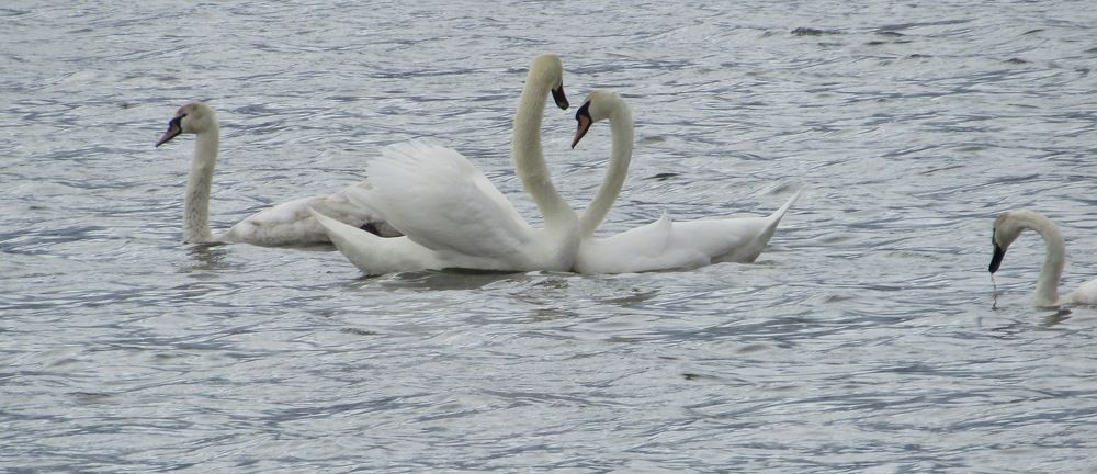 Photograph by Николай Худяков