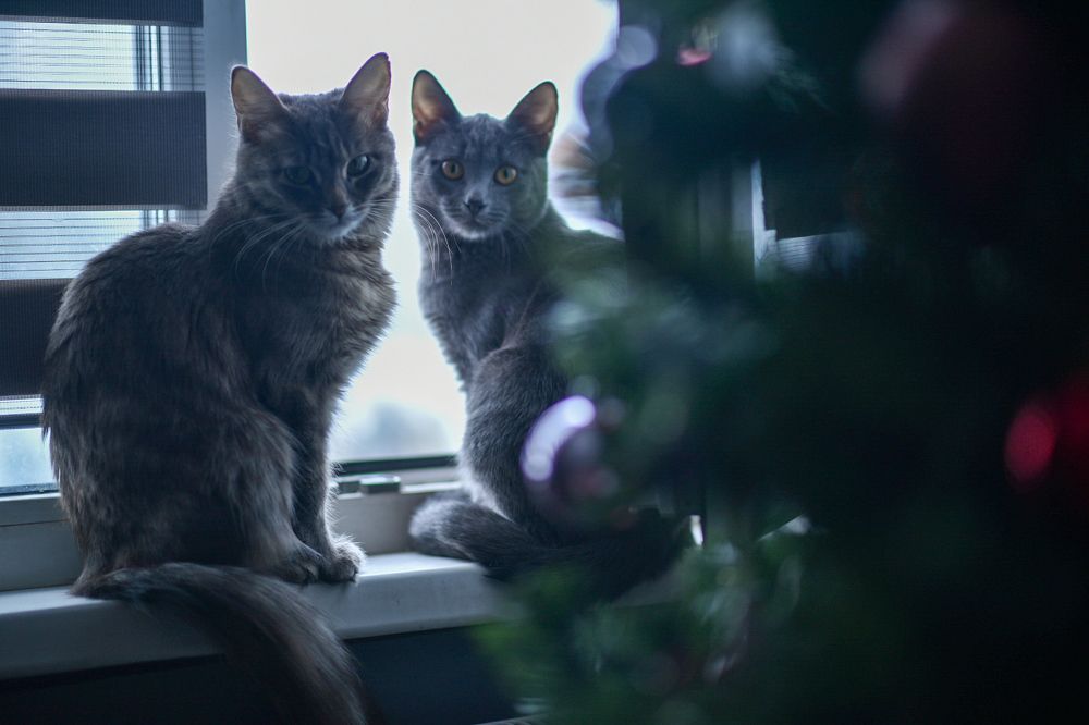 Photograph by Ольга Антонова