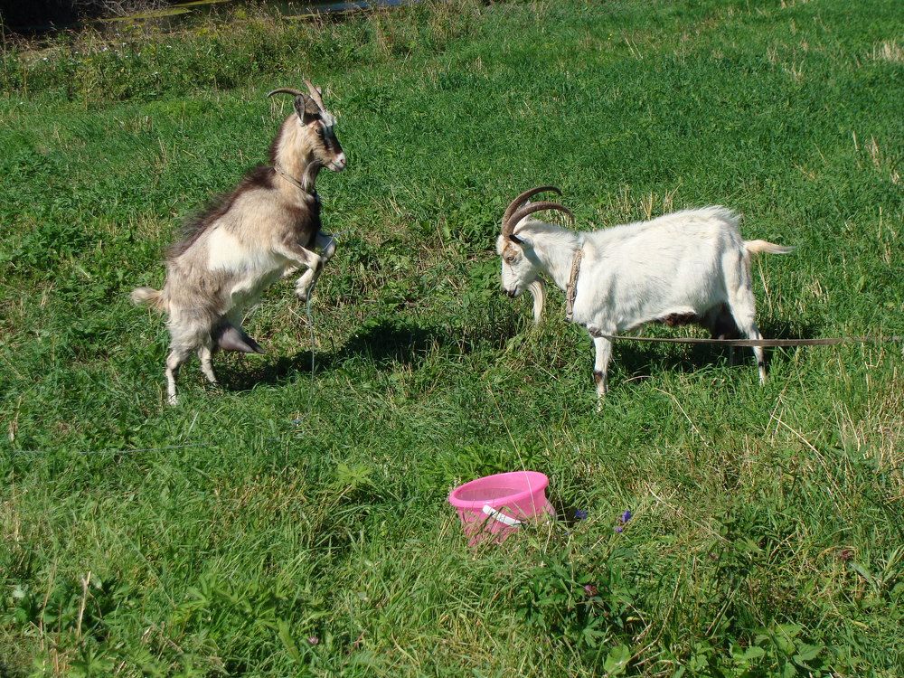 Photograph by Николай Худяков