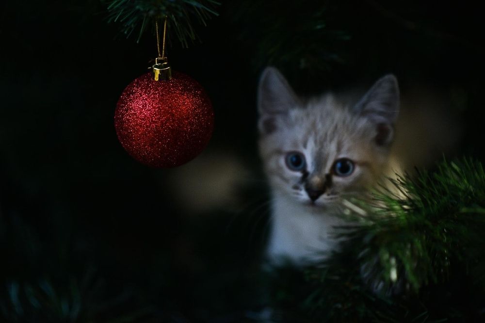 Photograph by Ольга Антонова