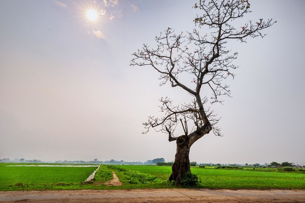 Photograph by Ngọc Nguyễn