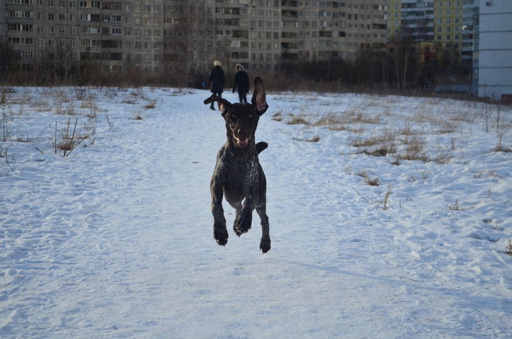 Photograph by Евгений Спиридонов