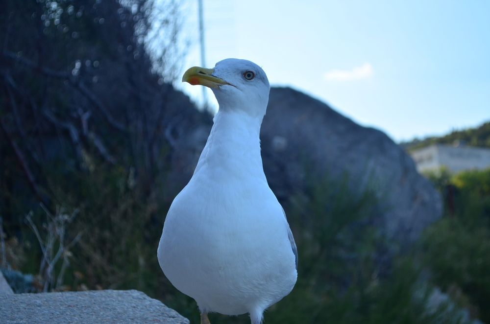 Photograph by Евгений Спиридонов