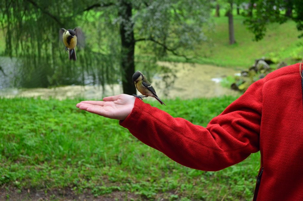 Photograph by Евгений Спиридонов