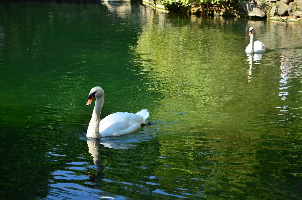Photograph by Евгений Спиридонов