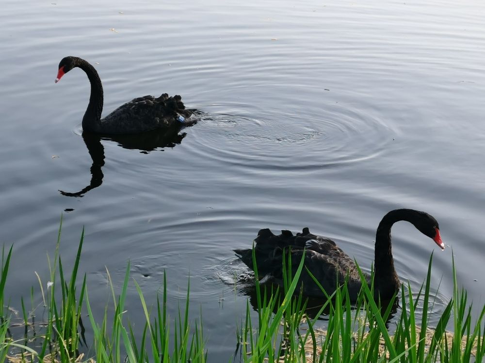 Photograph by Евгений Спиридонов