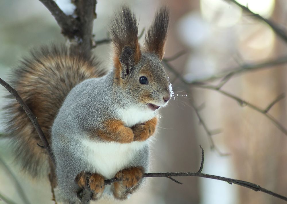 Photograph by Оксана Галлямова