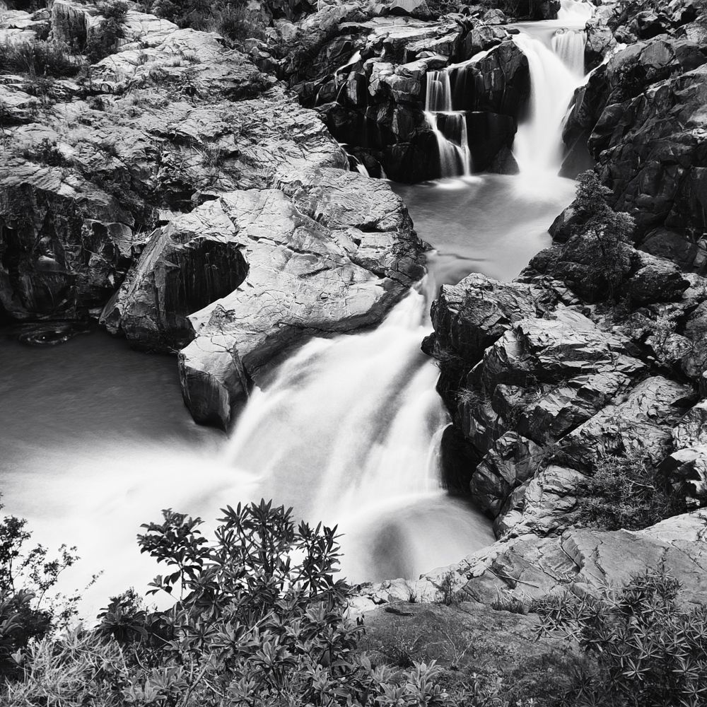 Photograph by Andrew Becker