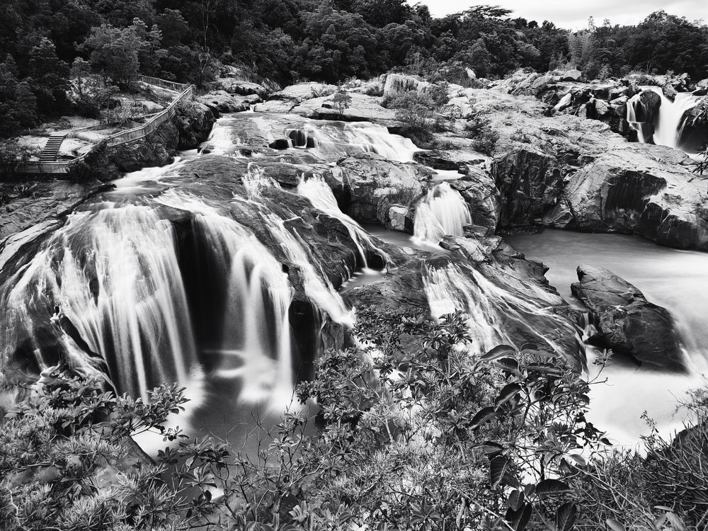 Photograph by Andrew Becker