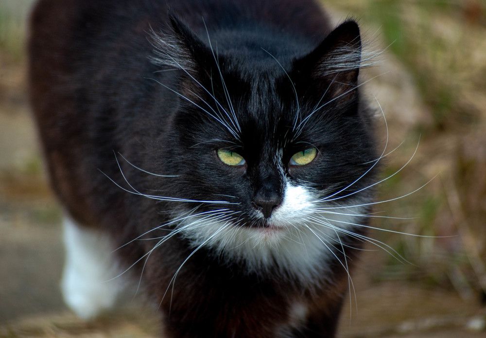 Фотография автора Aлексей Игнатьев